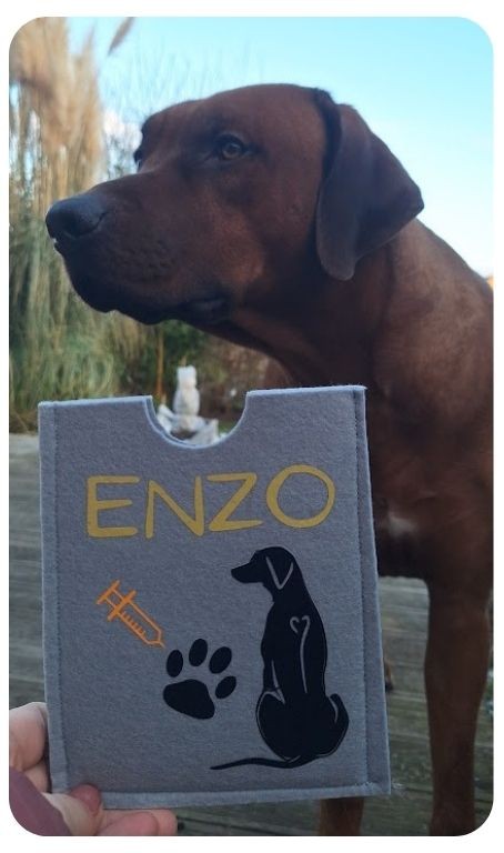 personalizovaný průkaz pro psa